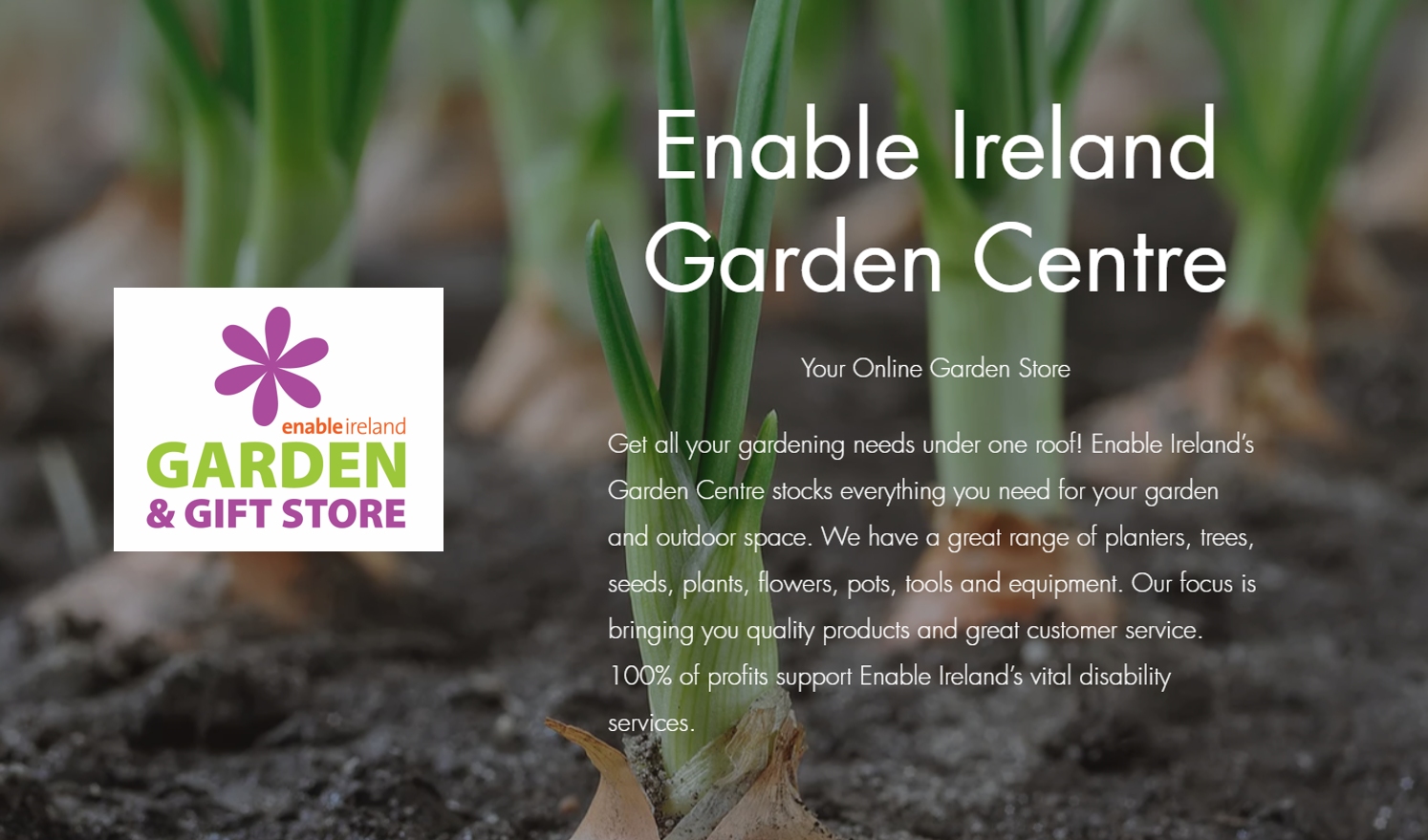 The image shows a picture of onions with text and logo from the Enable Ireland online garden centre 